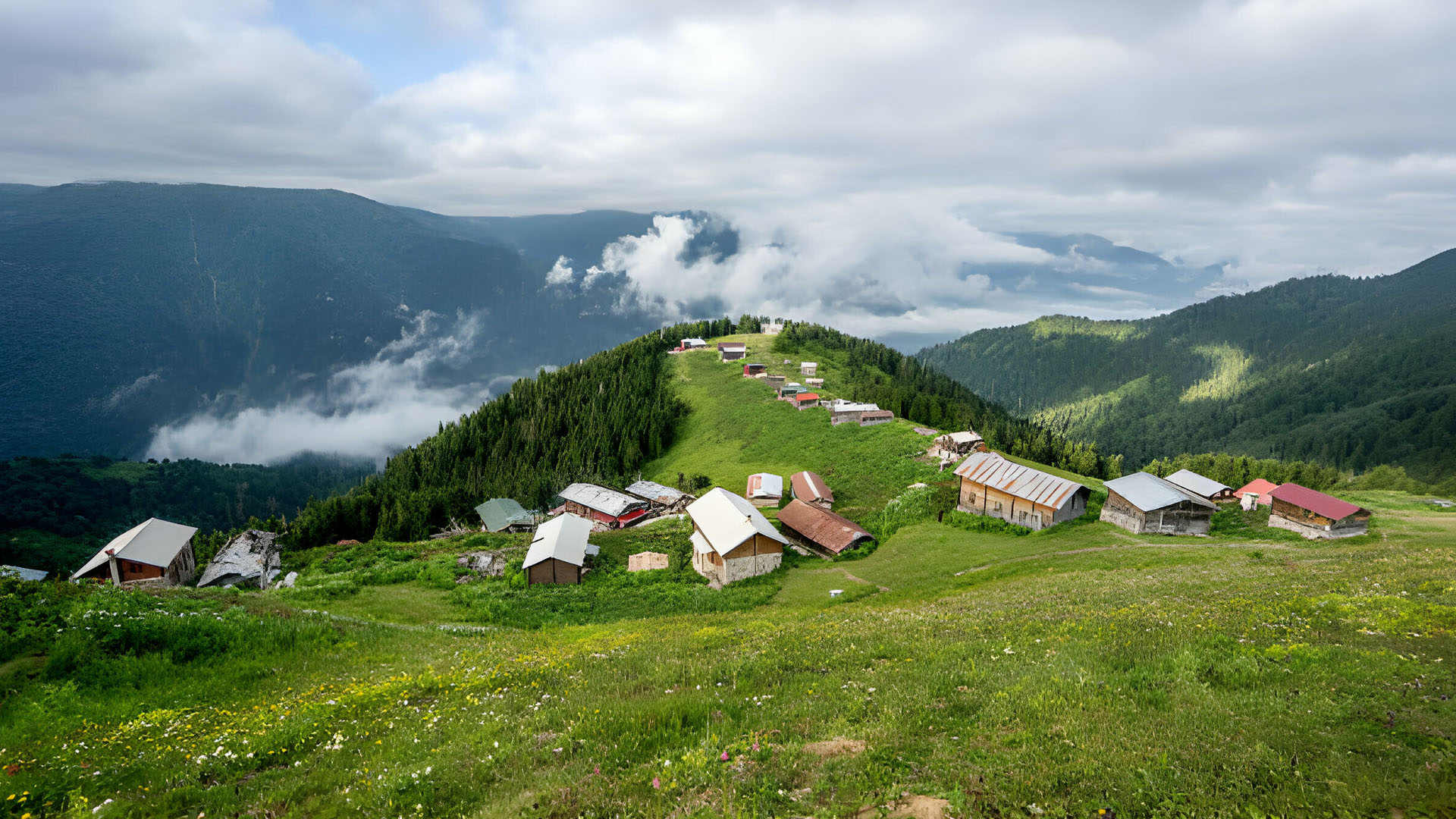 Trabzonun Yaylaları 