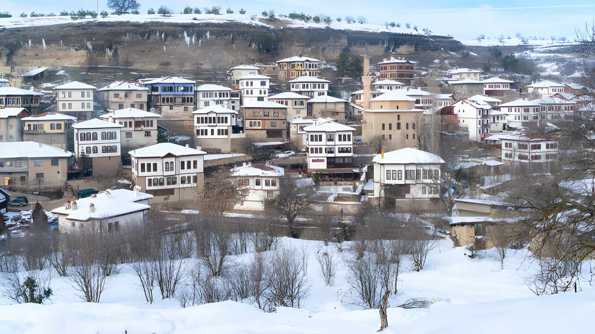 Koruma Çabaları ve UNESCO Mirası